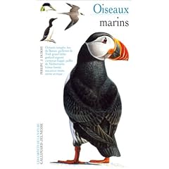 Oiseaux marins