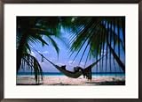 Tropical Beach (Hammock Under Tree) Black Wood-Mounted Art Poster Print - 11