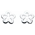 Dew SP48816HP006 - Pendientes de mujer de plata