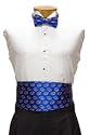Florida Cummerbund & Bow Tie Set - University of Florida Blue Cummerbund Set with Gator Logo
