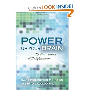Power Up Your Brain - David Perlmutter  