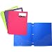Filexec 2-Pocket Folder, 3-Hole Punched, Assorted  (Pack of 12) (50122-3199)