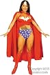 Adult Wonder Woman Costume (Size:Large 11-13)