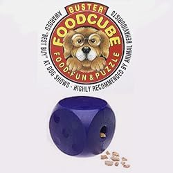 Our Pets Buster Mini Cube - Assorted Colors