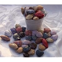 Chocolate Seashell Candy