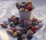 Chocolate Seashell Candy