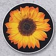 AutoCoaster ~ Sunflower ~ Tile Drink Coaster for car cupholder ~ code 084