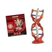 イーノサイエンス DNA-DNA構造
