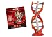 �����Υ������� DNA-DNA��¤ 