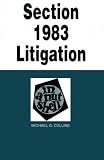 Section 1983 Litigation in a Nutshell (Nutshell Series)