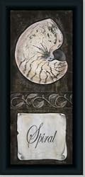 Spiral Seashell Bath Room Decor Sign Art Print Framed