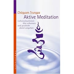 Aktive Meditation. Lebenssituationen klar erkennen und geschickt damit umgehen (Broschiert)