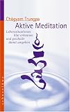 Aktive Meditation: Lebenssituationen klar erkennen und geschickt damit umgehen - Ch&ouml;gyam Trungpa