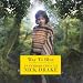Way to Blue: An introduction to Nick Drake
