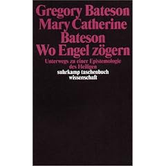 Wo Engel z�gern: Unterwegs zu einer Epistemologie des Heiligen (suhrkamp taschenbuch wissenschaft)