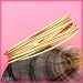 Jewelry : 14K Yellow Gold Multi Strand Bangle
