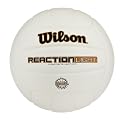 Wilson Volleyball - White (Sz Official)