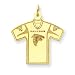 14K Atlanta Falcons Logo Large Jersey Charm