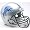 Detroit Lions