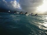 A Racing Team Gets in Some Practice Paddling Their Outrigger Canoe National Geographic Collection Photographic Poster Print by Jodi Cobb, 56x42