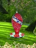 Red Glow in the Dark Glass/Metal Hummingbird Feeder with Wrought Iron Hook