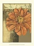 Small Ethereal Bloom II - Jennifer Goldberger Art Print Poster 9.5 x 1