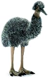 Baby Emu 14