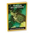 TREX BABY TURTLES IN CAPTIVITY