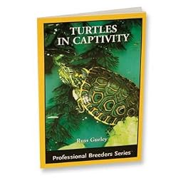 TREX BABY TURTLES IN CAPTIVITY