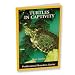 TREX BABY TURTLES IN CAPTIVITY