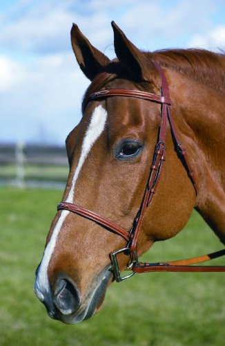 HDR Fancy Raised Bridle w/Laced Reins Pro