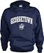 Georgetown Hoyas Kids/Youth Perennial Hooded Sweatshirt