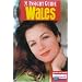 Welcome to Wales/ Croeso i Gymru