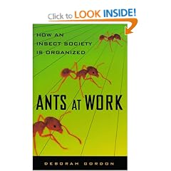 Ants at Work: How an Insect Society is Organized
