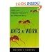 Ants At Work: How An Insect Society Is Organized