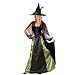Goth Maiden Witch Adult Costume