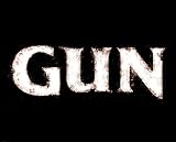 GUN (PC DVD)