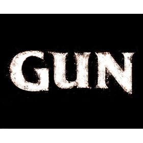 GUN (PC DVD)