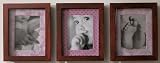 Plumeria Picture Frames - Set of 3
