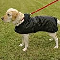 TCoat Dog Coat Calais Black Medium 50cm