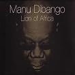 Lion Of Africa