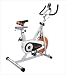 Sporting Goods : Sunny Indoor Cycling Bike