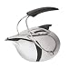 Kitchen & Housewares : Zephyr Stainless Steel Teakettle