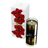 DayNa Decker - 16 oz. Botanika Candle - Bacara - Beautiful Candle with an Amazing Scent!