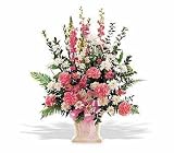 Sympathy Pink Carnations and White Daisy Flowers Loving Memories