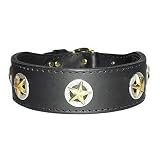 2 in. Latigo Ranger Dog Collar model 6035 (Black, 18 in.)