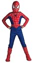 Deluxe Kids Spiderman Costume