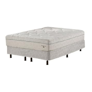 Spirit Sleep Banzai Theratouch 12-Inch Memory Foam Queen Mattress