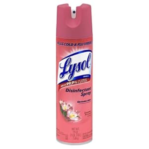 Lysol Disinfectant Spray, Summer Breeze, 19 Ounce