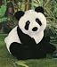 Chopsticks panda 15